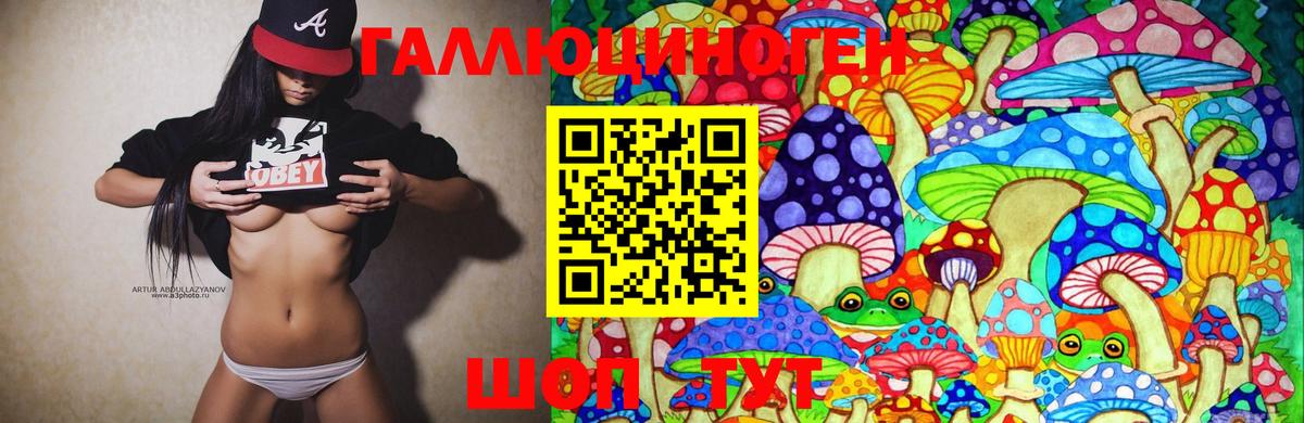 даркнет сайт  Галлюциногенные грибы Magic Shrooms  Вход с VPN  Кимовск  Псилоцибиновые грибы Magic Shrooms 