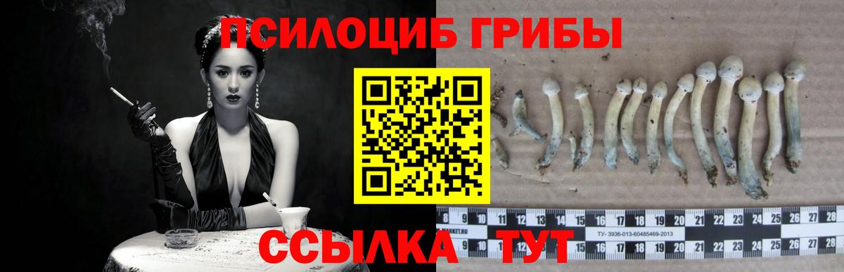 Псилоцибиновые грибы GOLDEN TEACHER Кимовск